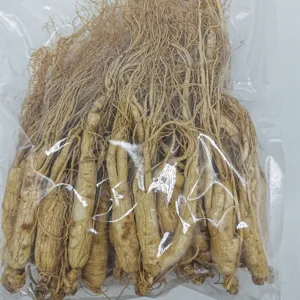 High Quality Ginseng Root Ginseng Root Extract Powder Panax Ginseng