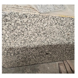 Carreaux de granit blanc platine élégants pour les intérieurs de luxe, les salles de bain, les cuisines et la conception de construction contemporaine - Product Image 1