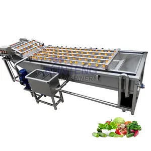 Automatic conveyor belt vibrating avocado fruit washer and veggie coconut radish washing snail cleaning machine for industry