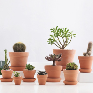 Juego de Mini Macetas de Terracota – Pequeñas Macetas de Arcilla con Orificios de Drenaje para Uso en Interiores/Exteriores, Macetas de Terracota para Viveros de Flores - Product Image 4