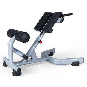 Chaise romaine de musculation, banc d'hyperextension, plusieurs options de couleurs, couleur personnalisée pour studio de fitness - Product Image 4