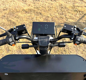 Triciclo eléctrico de movilidad personalizado de fábrica para <span class=keywords><strong>discapacitados</strong></span>, diseño de 3 ruedas con potente batería de litio para viajes seguros - Product Image 6