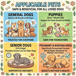 Complément multivitaminé N-en-1 pour chiens, sous marque privée OEM/ODM, pour le gain musculaire, sous forme de friandises molles avec probiotiques et glucosamine, 300g - Product Image 3