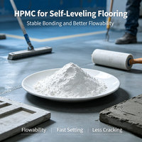 HPMC Hydroxypropylméthylcellulose de qualité construction pour mortier sec et enduit mural HPMC