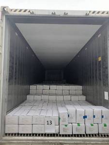 Groothandelsprijs Hoge Kwaliteit Vers Gevangen Diepvries Hele Inktvis en Inktvisbuisjes Inktvisringen (Gigas Inktvis) - Product Image 6