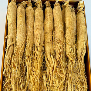 Racine de Ginseng Séchée 100% Naturelle Sans Soufre Certifiée GMP Vente en Gros en Vrac Origine Anhui pour Extrait de Plantes Mondial <span class=keywords><strong>Ren</strong></span> <span class=keywords><strong>Shen</strong></span> - Product Image 3
