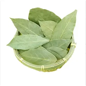 Chinese Supplier fragrant seasoning laurel leaf high quality laurel leaf