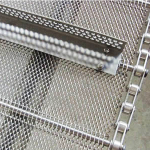 Kurutulmuş <span class=keywords><strong>mango</strong></span> için bariyerli 304 Paslanmaz Çelik/316 Paslanmaz Çelik Zincir Bağlantılı Konveyör Bantını özelleştirin - Product Image 3