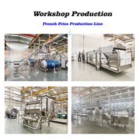 Ligne de production de frites entièrement automatique Sensitar 1500KG/H pour les usines de transformation alimentaire à grande échelle