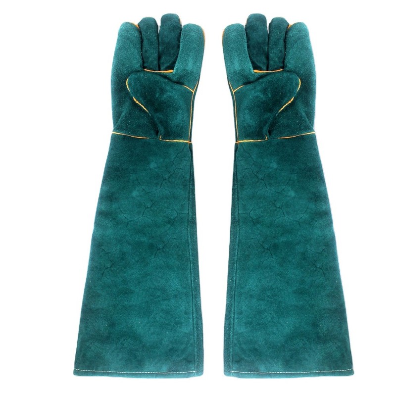 NOMOY PET Reptile Accessories Hot Sale