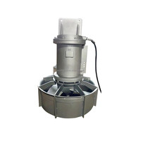 Agitateur Mélangeur Submersible pour le Traitement des Eaux Usées Agitateur de Plongée Fonctionnant Sous l'Eau Type QJB