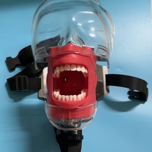 Simulador Dental de Alta Calidad, Cabeza de Maniquí, Equipo para Enseñanza y Entrenamiento de Odontólogos - Product Image 1