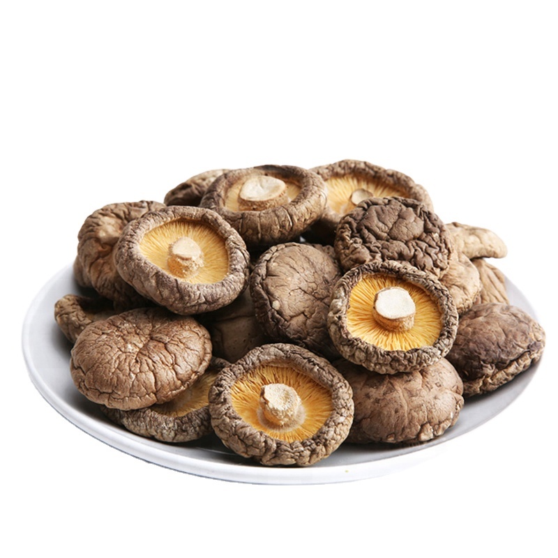 Chinese Wholesale Wooden Organic Mushroom Dried