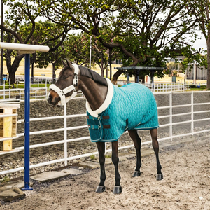 Manta de Alta Calidad para <span class=keywords><strong>Caballos</strong></span>, de Polialgodón Ligero, Lavable a Máquina, No Impermeable, Ajuste Perfecto para Interiores/Exteriores, para Exhibiciones Ecuestres - Product Image 3