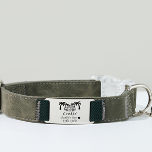 Gato con etiqueta desmontable grabada para regalo de Año Nuevo, conjunto de correa de perro de oliva personalizado en Collar de perro de cuero de gamuza con nombre - Product Image 1