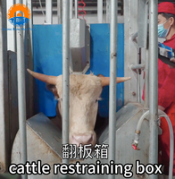 Boîte d'abattage inclinée pneumatique pour bovins, machine d'abattage en acier inoxydable pour abattoir, avec roulement de moteur