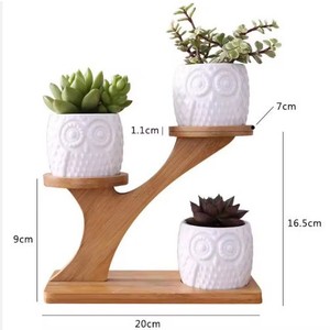 3 <b>Tier</b> Bamboo Succulent <b>Plant</b> <b>Stand</b> Desktop Display Rack Minimalist Design Indoor Use - Product Image 4