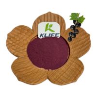 Groothandel In Bulk 25% Anthocyaan Zwarte Bes Vruchtensap Poeder Zwarte Bes Extract Poeder