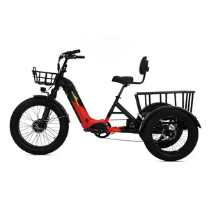 Best Price Cargo Electric Tricycle 2000W 3 Wheels Pedal Electric Bike 48v Dual Motor Torque Sensor Step Through E Tricycle