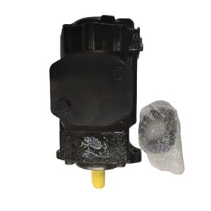 Pompe à palettes <span class=keywords><strong>Dension</strong></span> domestique T6CCM-B22-B05-SR15D111 - Product Image 1