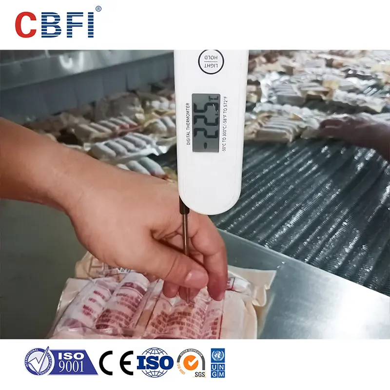 Automatic Different Capacities Iqf Tunnel Blast Quick Freezer Machine Beef