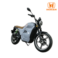 D300 3000W Electric Motorcycle 72V80Ah LFP Battery 100km/h Dual Disc Brake 17 Inch Vacuum Tire Electric Motorbike