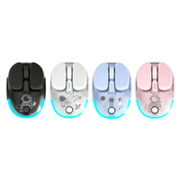 Souris sans fil magnétique silencieuse portable LED transparente BT 2,4 GHz USB pour ordinateur portable, tablette, PC, ordinateur portable avec batterie