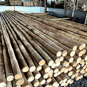 Venta al por Mayor de Varas de Bambú Natural Rectas (2-20 m de Longitud) para Protección de Árboles, Agricultura y Construcción - Eco2go Vietnam - Product Image 1
