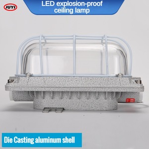 Lampe pendante incandescente à service personnalisé Prévention de la corrosion en aluminium Lumière LED incandescente pour bateau - Product Image 5