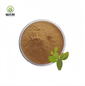 Puur Natuurlijke Hoodia Gordonii Poeder Plant <span class=keywords><strong>Extract</strong></span> Hoodia Gordonii Leveranciers Hoodia Gordonii Cactus <span class=keywords><strong>Extract</strong></span> - Product Image 2