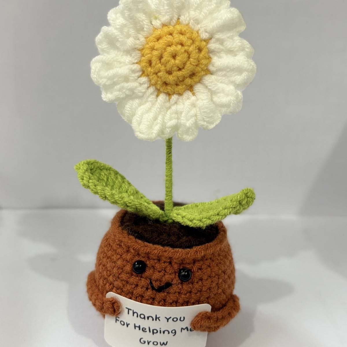 Petite plante en pot, motif marguerite.