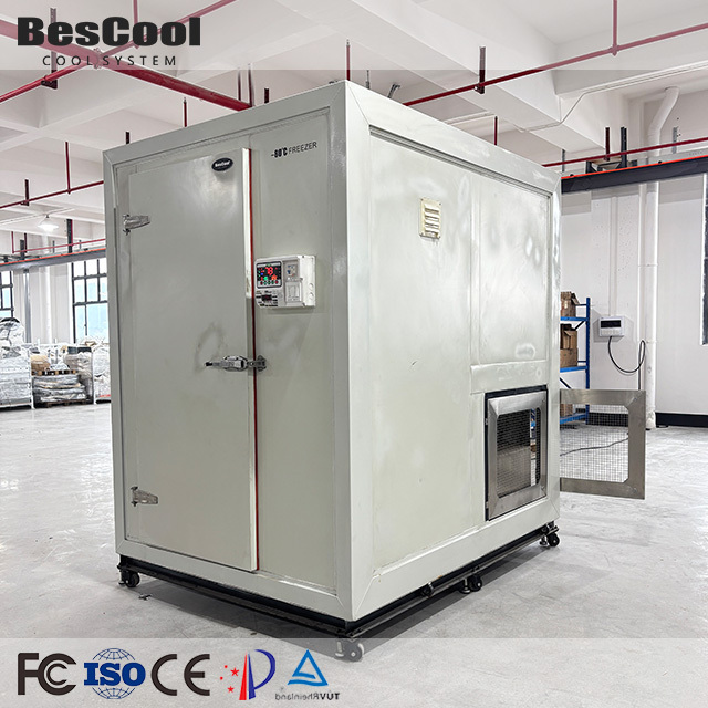 Hot Sale 60 C 20ft Shipping