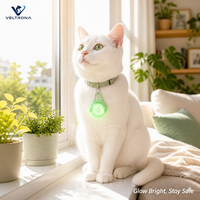 Clip lumineux LED de sécurité pour animaux de compagnie, pendentif lumineux rotatif à 360°, lampe de marche nocturne pour chien à fixer sur le collier, lampe de sécurité lumineuse pour animaux.