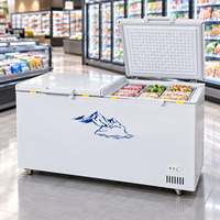 Congélateur coffre à double porte, grande capacité, avec roulettes, OEM ODM, vente en gros pour grossistes d'aliments surgelés