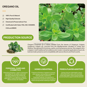 Vente en gros d'extrait de plante naturel pur <span class=keywords><strong>Huile</strong></span> d'<span class=keywords><strong>origan</strong></span> 90% Carvacrol Origanum <span class=keywords><strong>Huile</strong></span> essentielle - Product Image 3