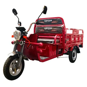 دراجة ثلاثية العجلات كهربائية في باكستان دراجة البضائع الإطارات الدهون 60 فولت دراجة ثلاثية العجلات الدهون