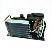 R134a DC 12v 24v 48v 400 watts mini module refroidisseur d'eau unité de refroidissement pour système de brassage domestique refroidisseur de glycol