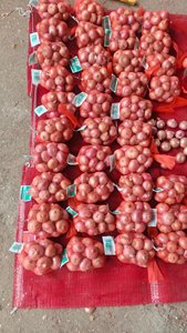 <span class=keywords><strong>Cebolla</strong></span> roja <span class=keywords><strong>o</strong></span> amarilla pequeña de alta calidad a precio mayorista, directamente de fábrica en China - Product Image 2