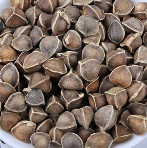 Semi di <span class=keywords><strong>albero</strong></span> di bacchette di semi di rafano essiccati grezzi interi puliti di alta qualità - Product Image 5