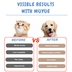 Líquido de Apoyo Hepático OEM/ODM para Mascotas, Ayuda Naturalmente a la Función Hepática Saludable en Perros y Gatos - Ayuda a Aliviar las Problemas de Salud Hepática - Product Image 4