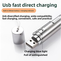 Puntatore a Infrarossi in Metallo Semplice con Ricarica USB, Penna Interattiva per Addestramento Gatti con Luce Bianca e 5 Tipi di Icone
