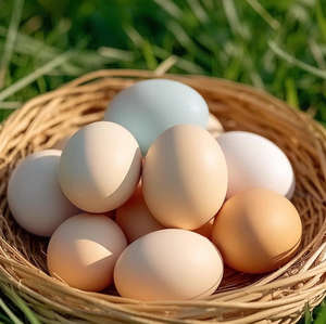 Œufs de Pâques et de canard simulés <span class=keywords><strong>pour</strong></span> enfants, décorations et farces pratiques peintes par les enfants - Product Image 6