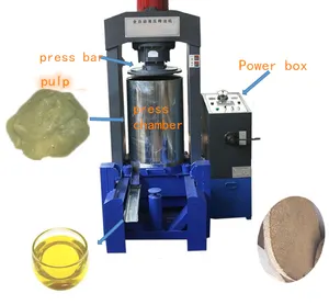 Ligne de Production automatique d'huile d'olive pour le traitement et l'extraction de l'huile d'olive