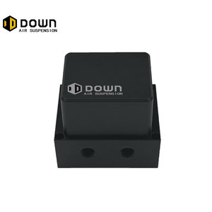 Moins cher Airride management system Economy Edition <span class=keywords><strong>air</strong></span> suspension <span class=keywords><strong>kit</strong></span> auto performance parts <span class=keywords><strong>air</strong></span> lift DN-VP en ligne - Product Image 3