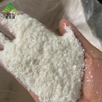 Colle acrylique forte BSD pour papier peint, poudre adhésive pour autocollants, mastic et adhésif de haute qualité