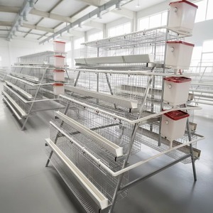 Nouvelles cages à poules pondeuses automatiques de type H à trois niveaux, de haute qualité et <span class=keywords><strong>au</strong></span> juste prix, avec alimentation et abreuvement automatiques - Product Image 4
