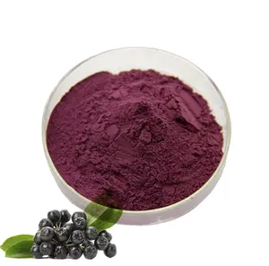 Factory Supply Acai Berry Powder Acai Berry Extract Powder