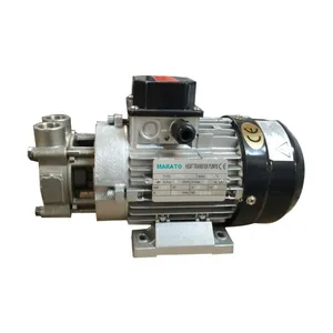 Quality Coupling Thermal Oil High Temperature Pump