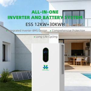 Système solaire domestique tout-en-un mobile de 30 kWh avec batterie au lithium de stockage d'énergie, onde sinusoïdale pure de 12 kW et BMS - Product Image 3