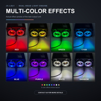 Kit de plafonnier Starlight Twinkle RGBW à double port, LED à changement de couleur, contrôle par application, 32W 12V, fibre optique pour voiture 0,75 mm, indice de protection IP33, 6000K